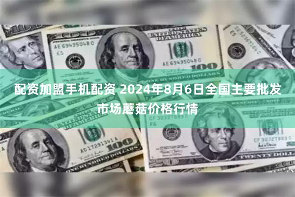 配资加盟手机配资 2024年8月6日全国主要批发市场蘑菇价格行情