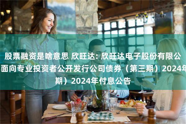 股票融资是啥意思 欣旺达: 欣旺达电子股份有限公司2020年面向专业投资者公开发行公司债券（第三期）2024年付息公告