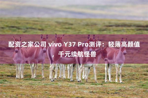 配资之家公司 vivo Y37 Pro测评：轻薄高颜值，千元续航怪兽