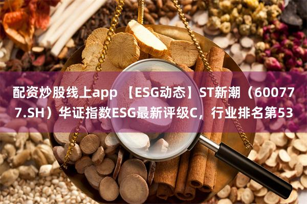 配资炒股线上app 【ESG动态】ST新潮（600777.SH）华证指数ESG最新评级C，行业排名第53