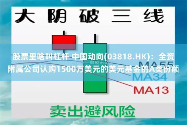 股票里啥叫杠杆 中国动向(03818.HK)：全资附属公司认购1500万美元的美元基金的A类份额