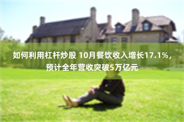 如何利用杠杆炒股 10月餐饮收入增长17.1%，预计全年营收突破5万亿元