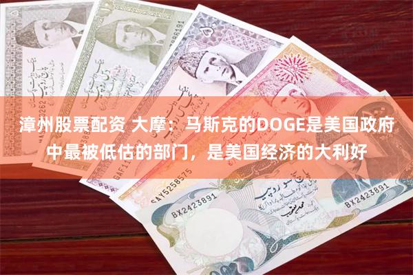 漳州股票配资 大摩：马斯克的DOGE是美国政府中最被低估的部门，是美国经济的大利好