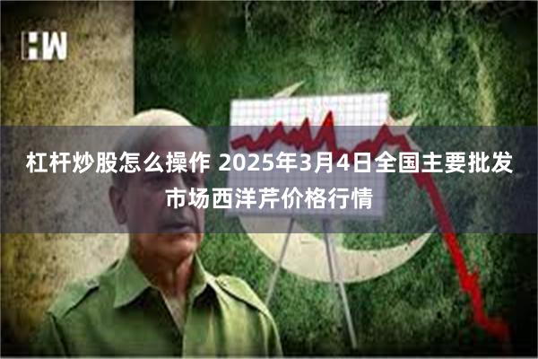 杠杆炒股怎么操作 2025年3月4日全国主要批发市场西洋芹价格行情